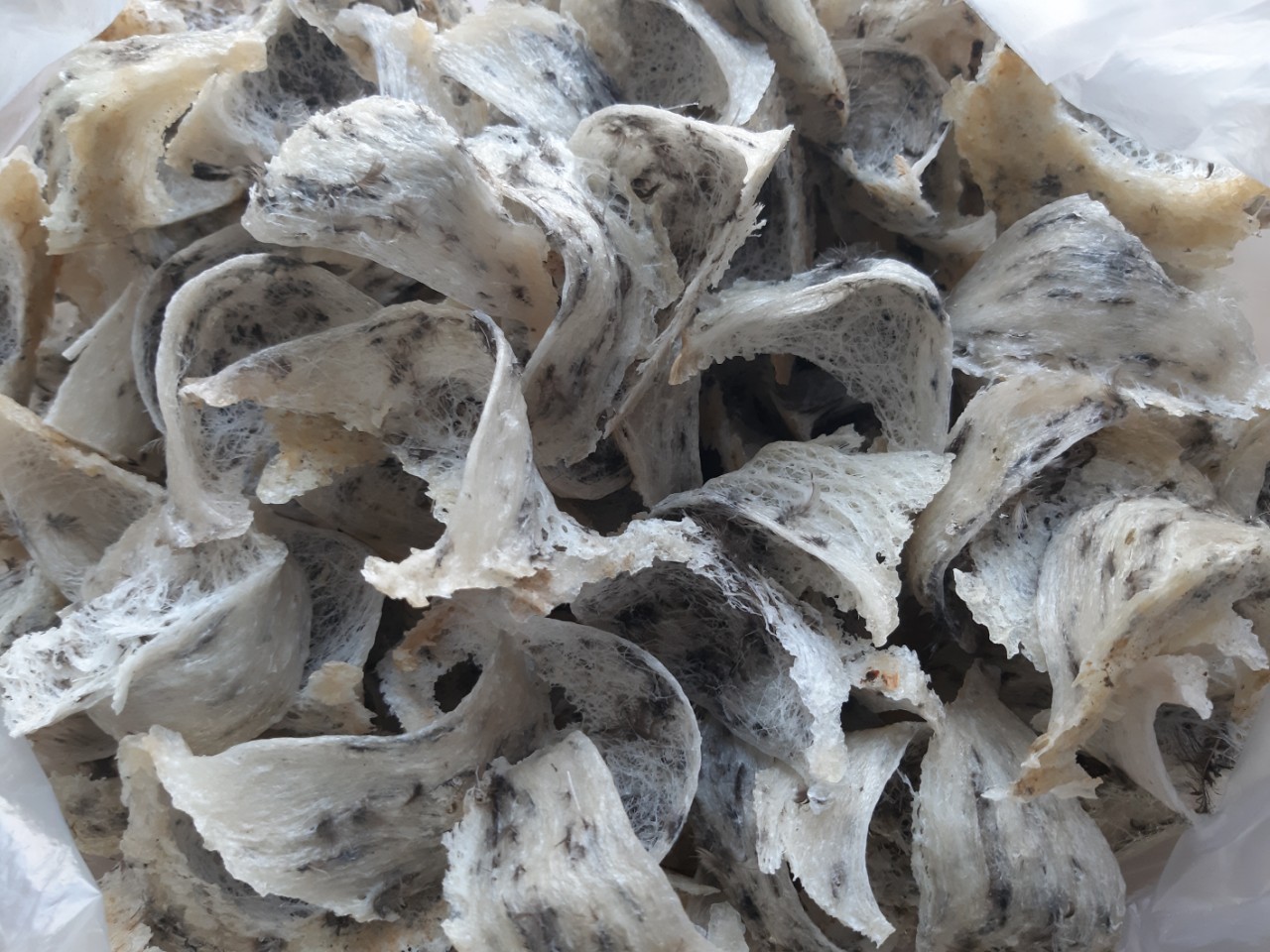 4 Tổ Yến Thô nguyên chất 100gr