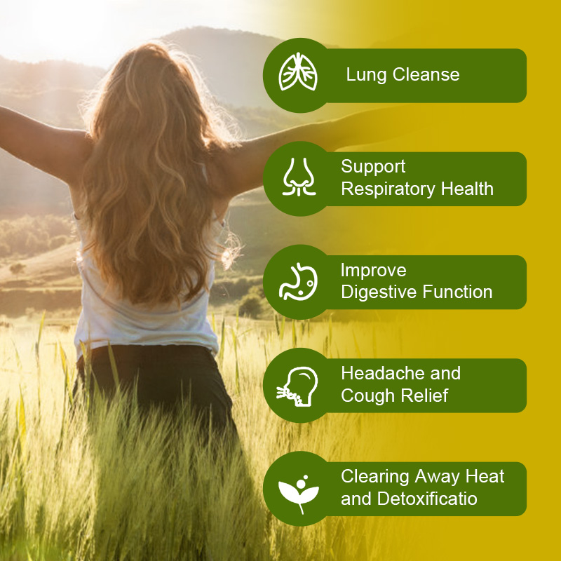 Alliwise Lung Detox Mullein Leaf Capsules bổ sung hô hấp thảo dược để làm sạch phổi, hỗ trợ phổi, cải thiện hô hấp và chức năng miễn dịch