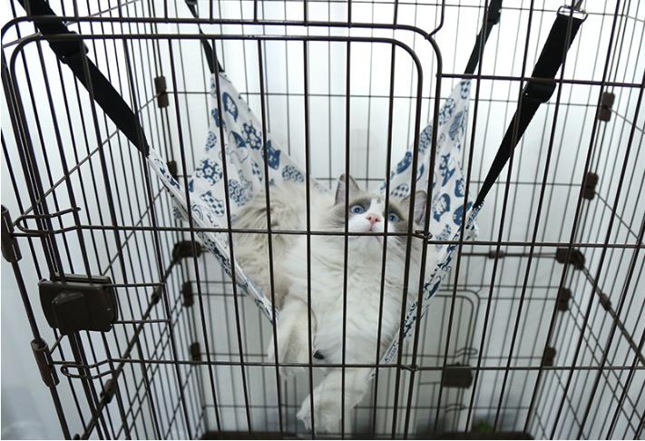 VÕNG CHO MÈO NHIỀU KÍCH THUỚC