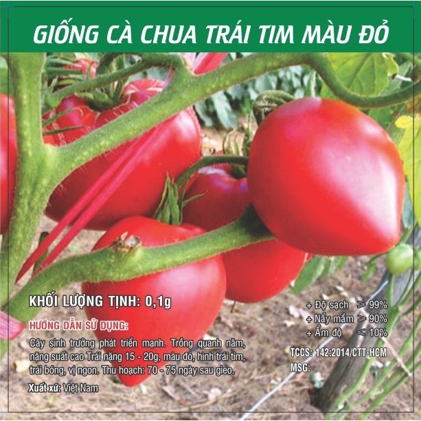 Hạt giống Cà Chua Trái Tim đỏ TN