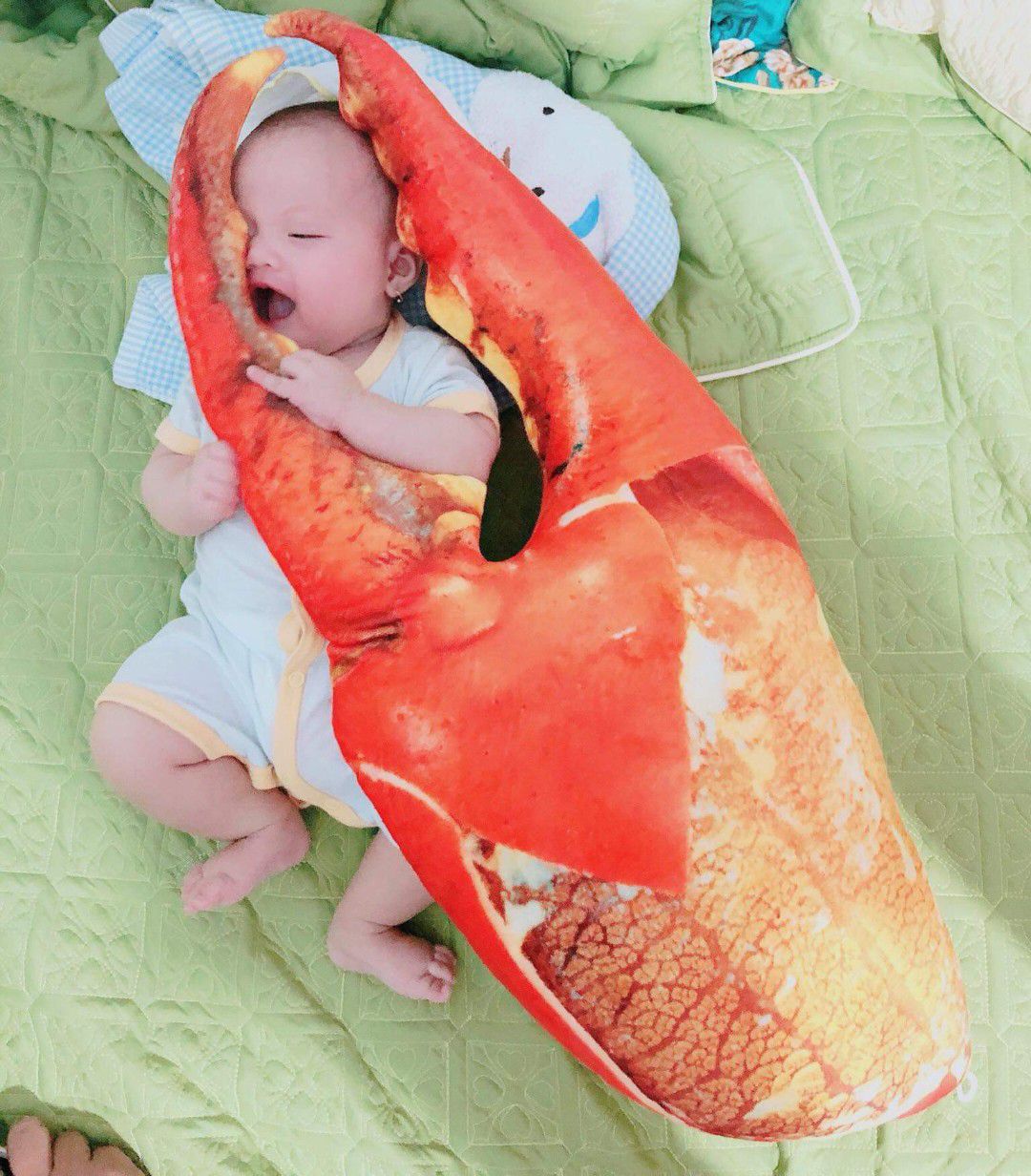 GẤU BÔNG CÀNG CUA 3D SIÊU HOT