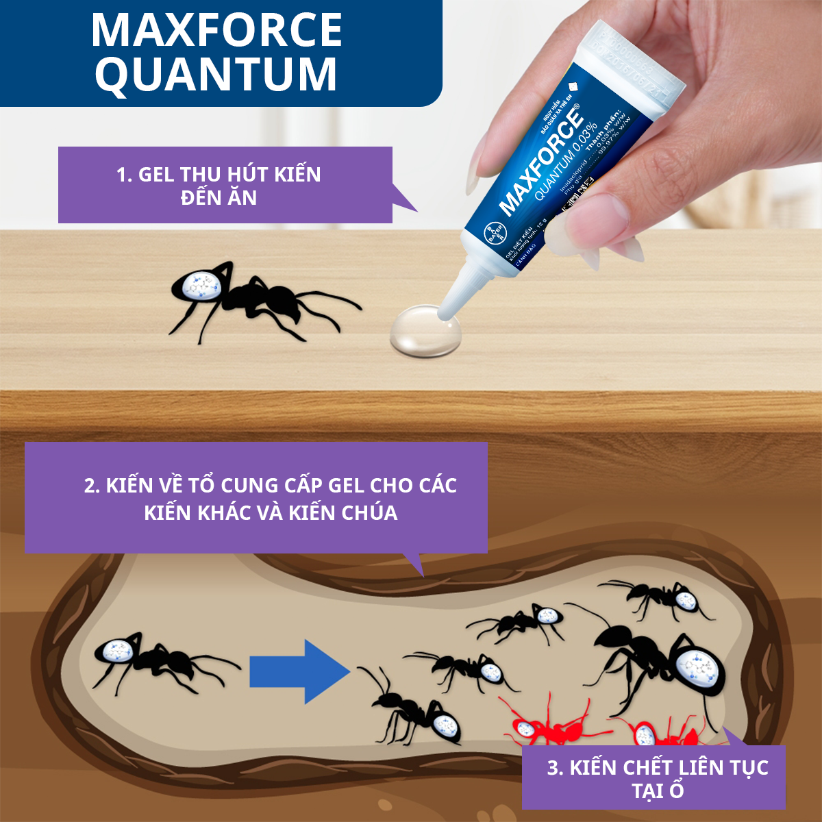 Gel Diệt Kiến Maxforce Quantum Chính Hãng