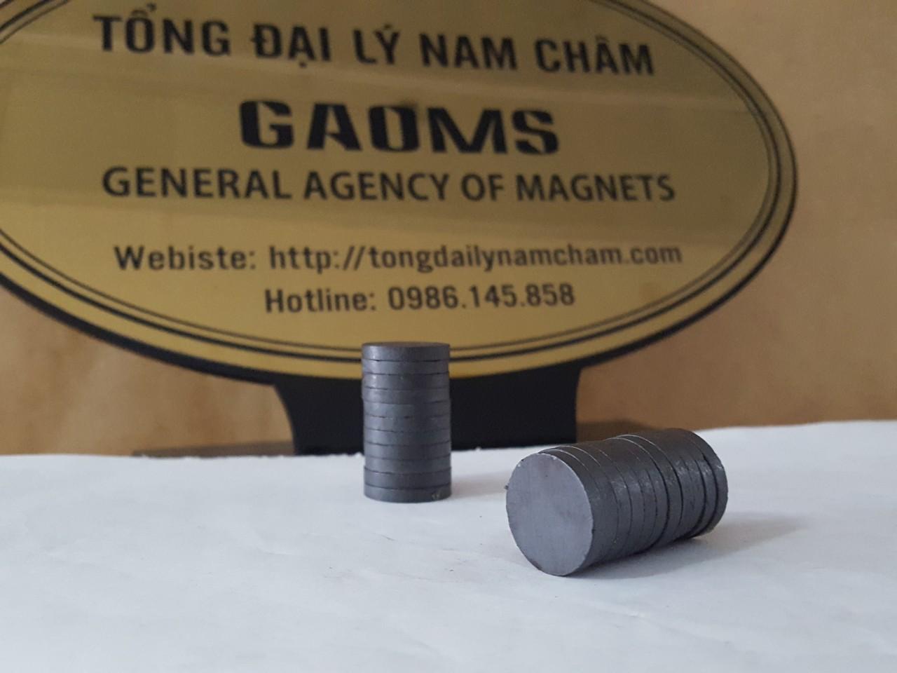 10 viên nam châm đen 30x5mm