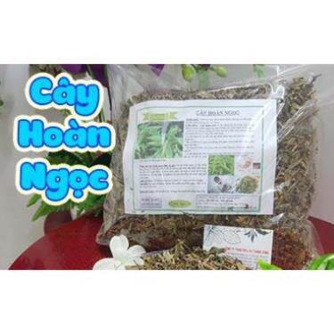[SIÊU SALE] 1kg cây hoàn ngọc khô chuẩn HB105