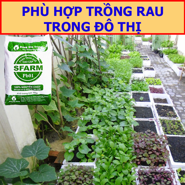 Phân Trùn Quế Nguyên Chất 10Kg