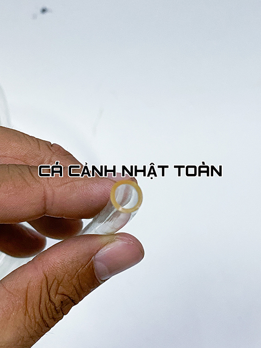 "Hoàn tiền đến 10%" 1 MÉT DÂY OXY CHO BỂ CÁ 6MM