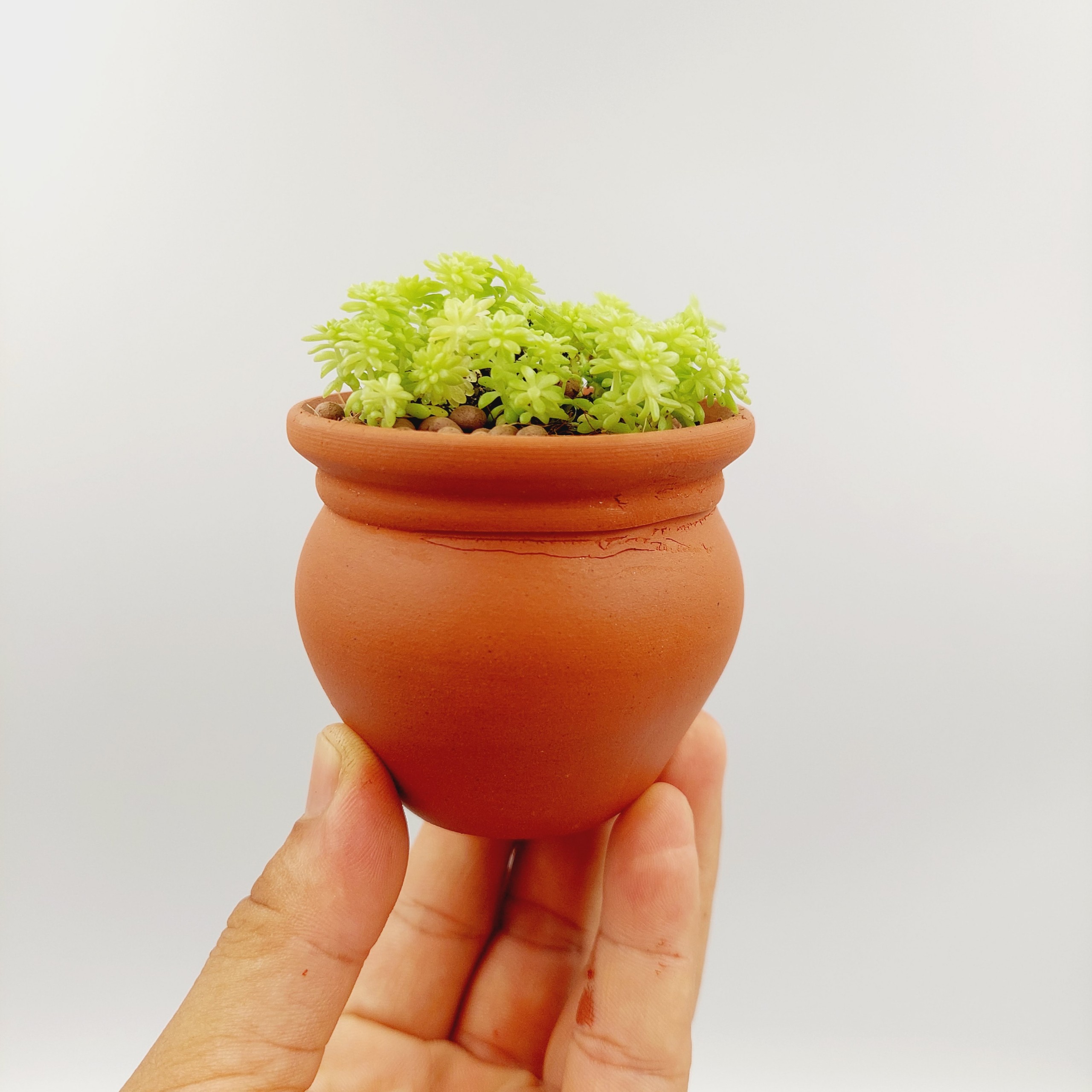 Chậu đất nung, chậu sen đá - Chum mini, miệng chậu 6.5cm, chiều cao 6cm