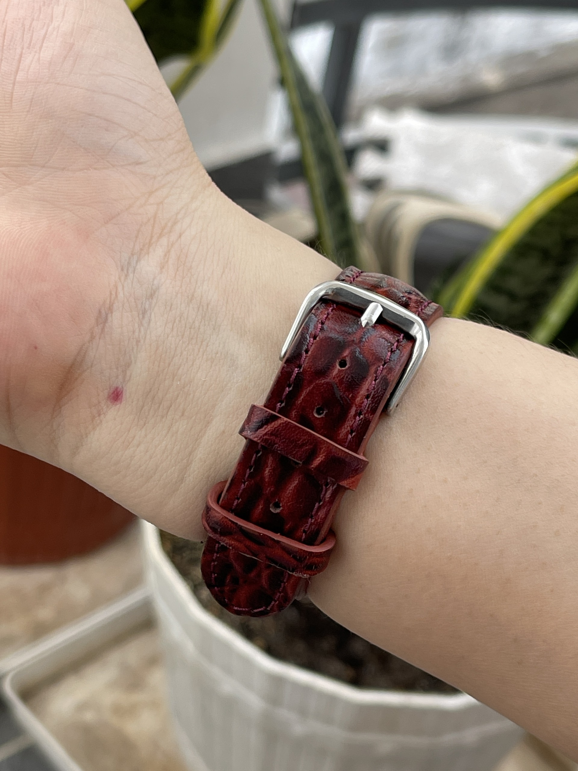 Đồng hồ nam Citizen Leopard chạy pin hàng Si