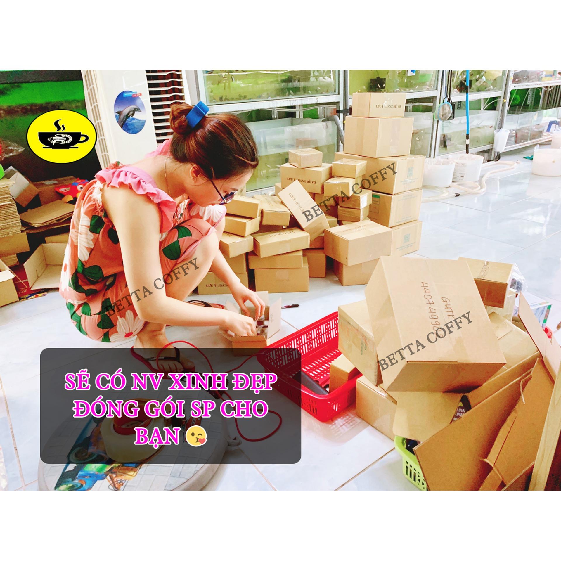 Vợt vớt cá size Lớn 20k
