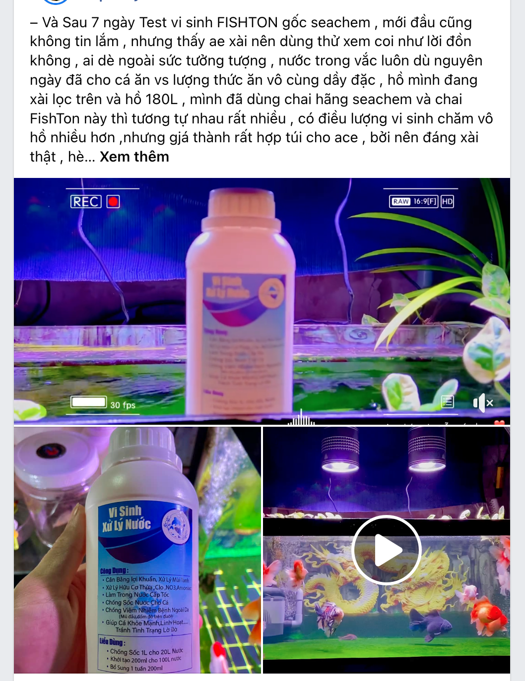 Fishton Water Treatment Microorganisms Quickly Clean Water and Eliminate Fishy Odors from Channa, Dragonfish, and Red Snapper.