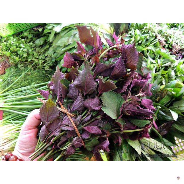 HẠT GIỐNG TÍA TÔ - GÓI 2 GRAM