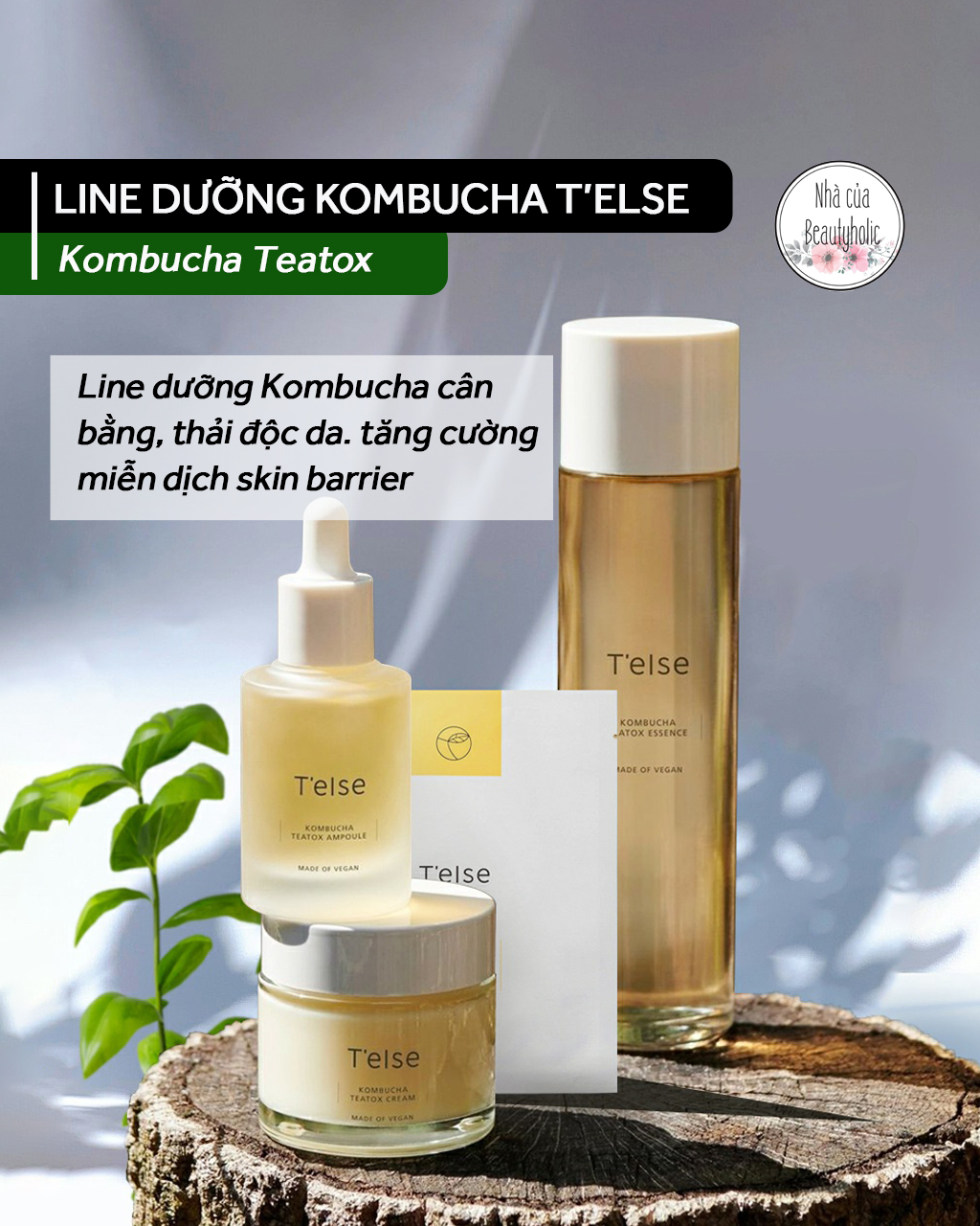 [Nhacuabeautyholic] Dòng dưỡng Kombucha thuần chay TELSE KOMBUCHA TEATOX