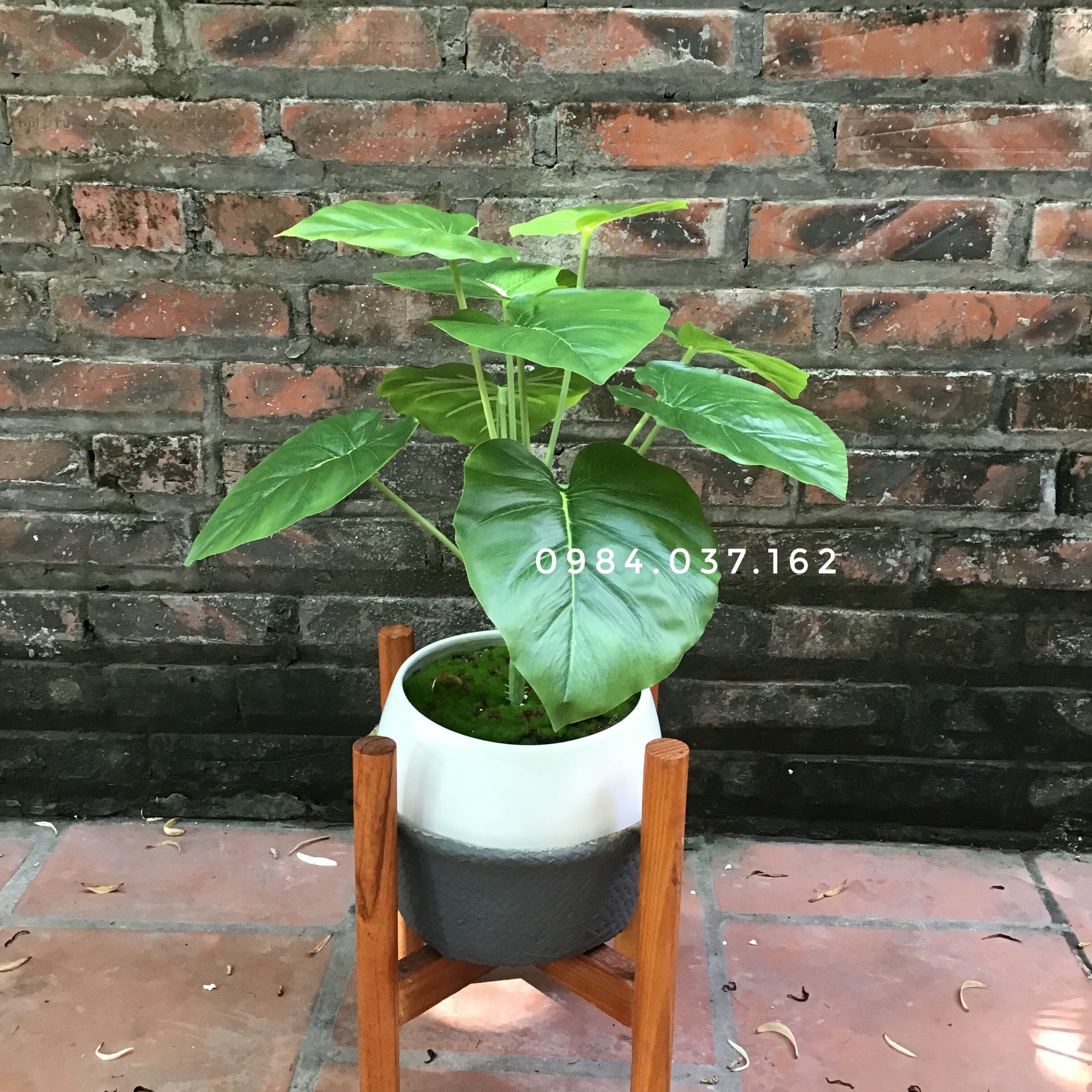Cây trầu bà giả trang trí, Cây giả
