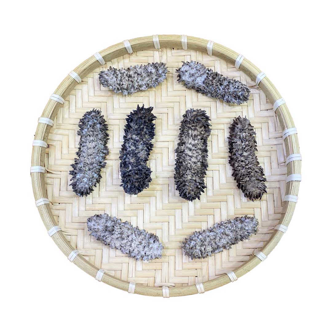 HẢI SÂM GAI KHÔ [Bảo Tâm]