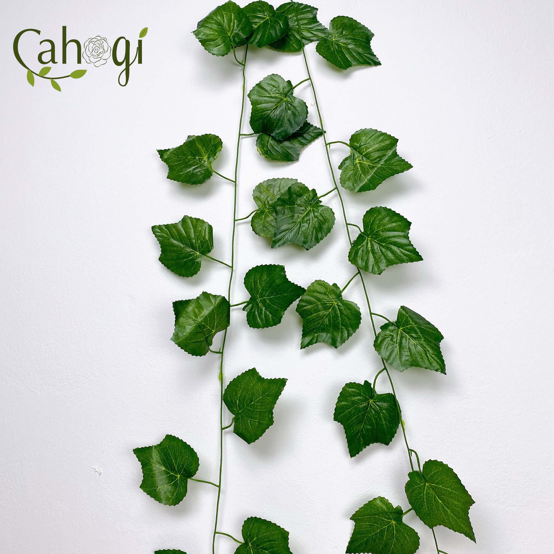 Combo 5 Sợi Dây Leo Lá To Lá Nho