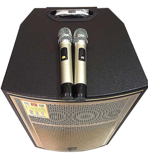 Loa Kéo Acnos CB-1508