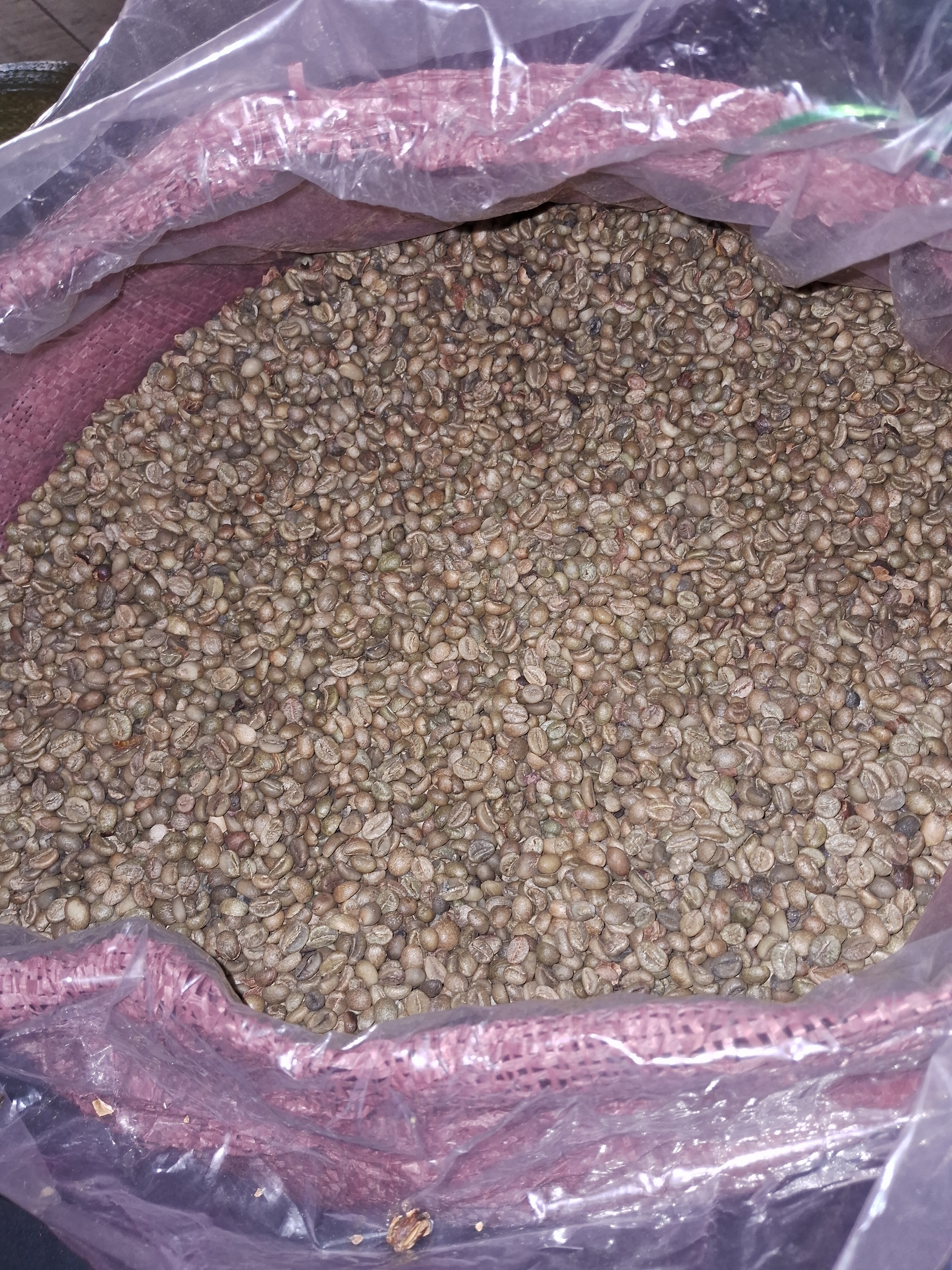 [500gr/1kg] Cà phê FINE ROBUSTA rang mộc, cà phê nguyên hạt rang xay cà phê bột pha phin pha máy, cafe sạch Lâm Đồng, Coffee K'Nớ.