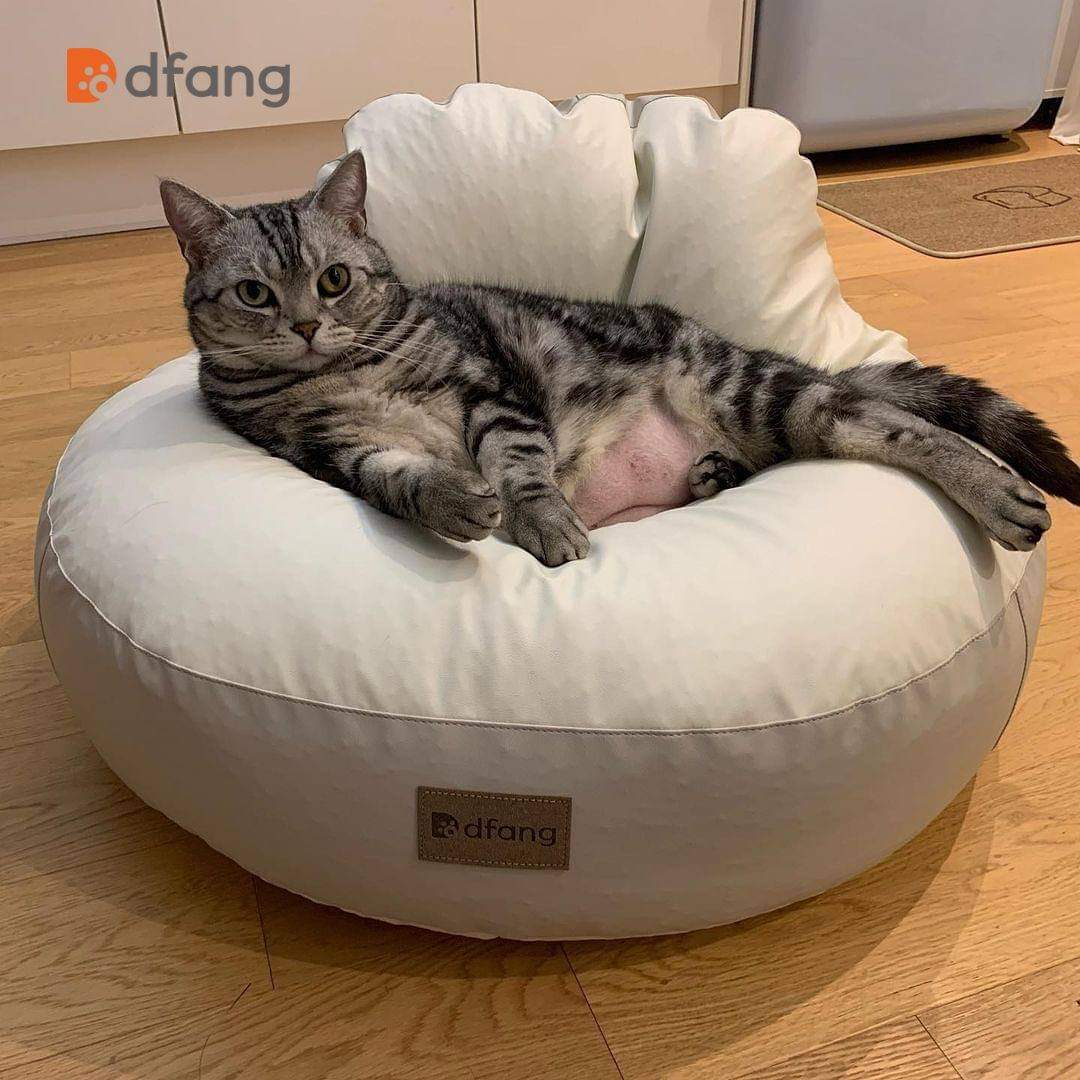 NIỆM NGỦ CHO THÚ CƯNG - Bean bags M & L