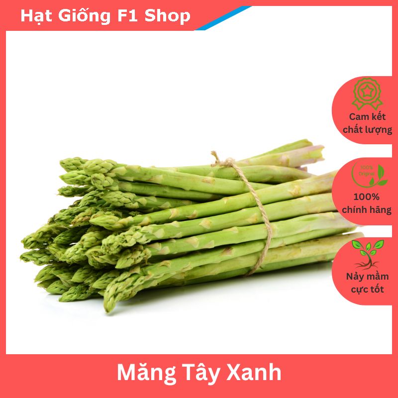 Hạt Giống Măng Tây Xanh Năng Suất Cao