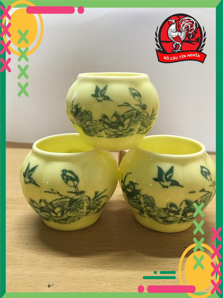 [Combo 3]Cóng Xứ Chào Mào Rẻ 05