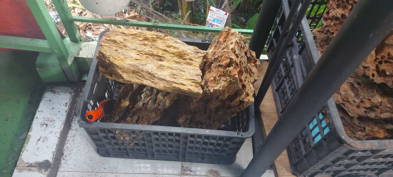Đá Tiger - Đá Trang Trí Bể Thủy Sinh 1Kg
