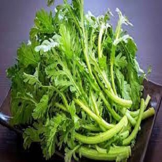 Hạt giống cải cúc tẻ ( tần ô ) - gói 10gram - VTNT1
