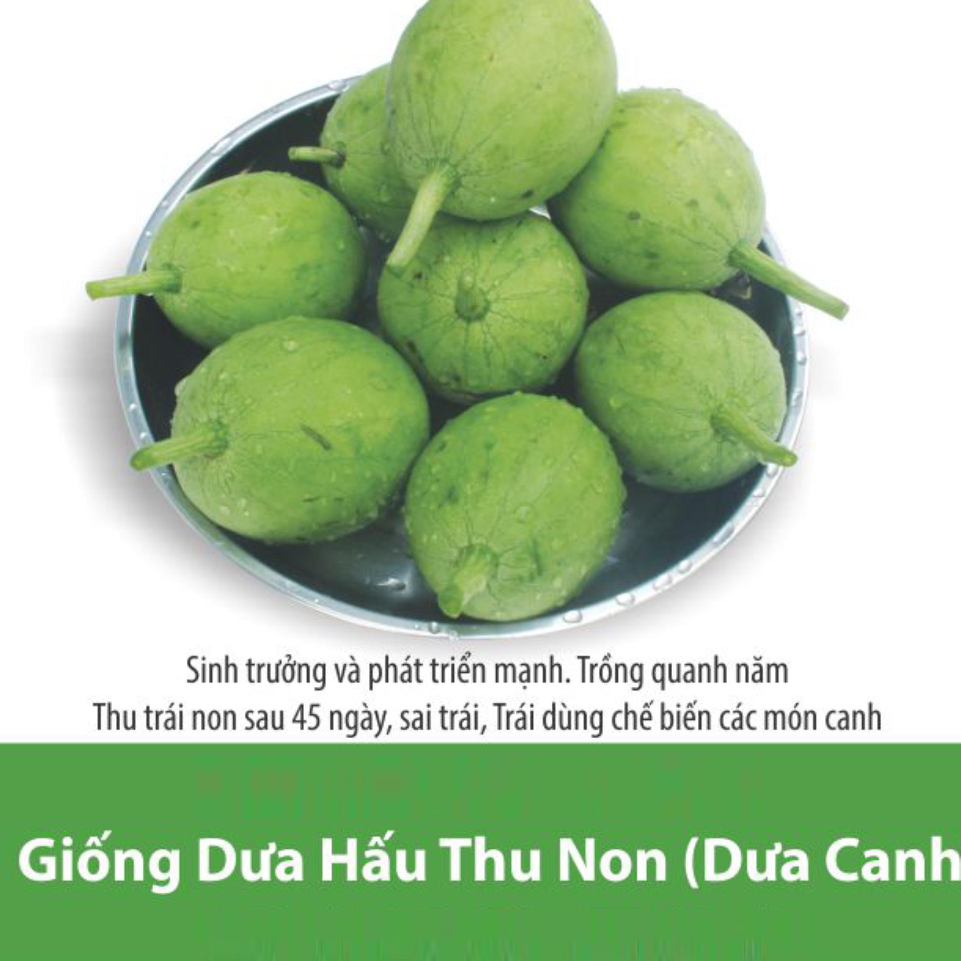 2g Hạt giống Dưa hấu ăn non (tặng Kích nẩy mầm, Hướng dẫn ươm)