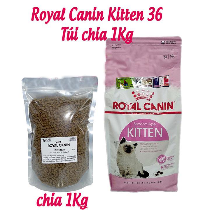 [HOÀN TIỀN 10%]Royal Canin Kitten 36 1kg Thức ăn cho mèo con - Cutepets