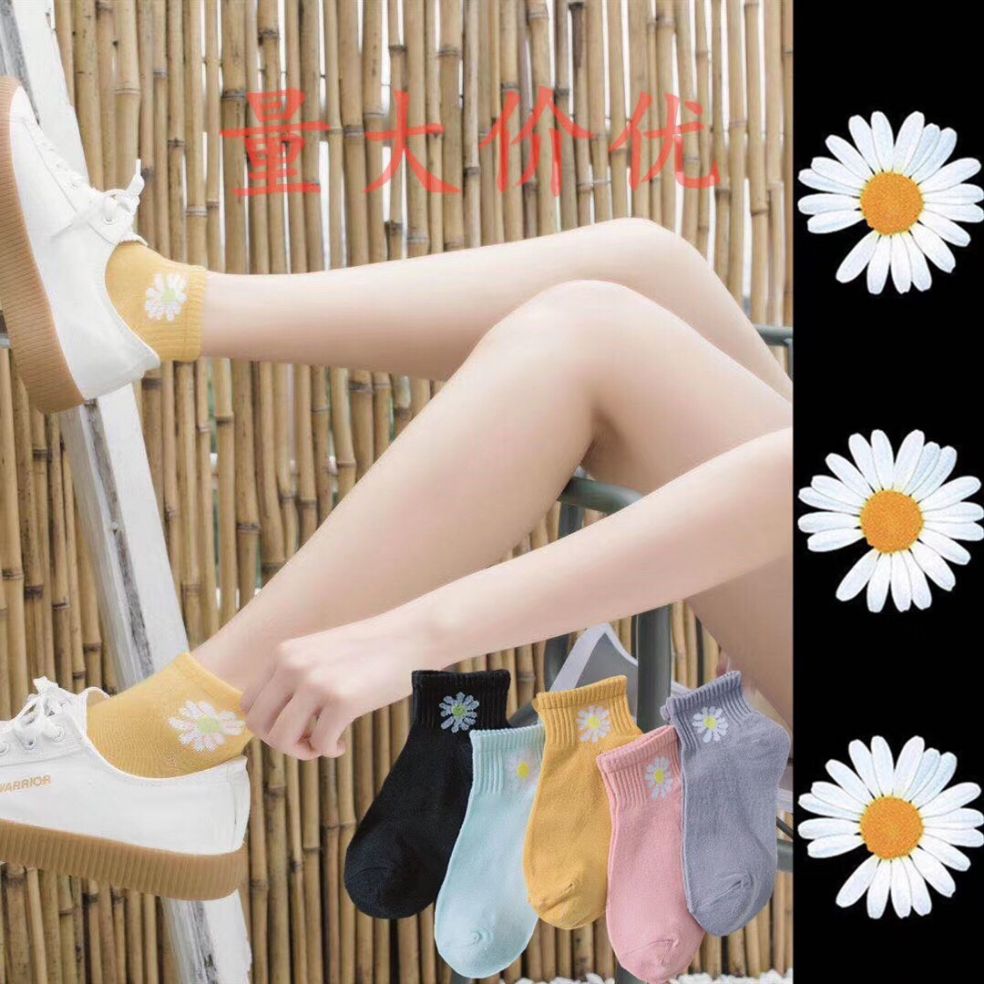 Combo 10 đôi tất nữ cổ ngắn hoa cúc