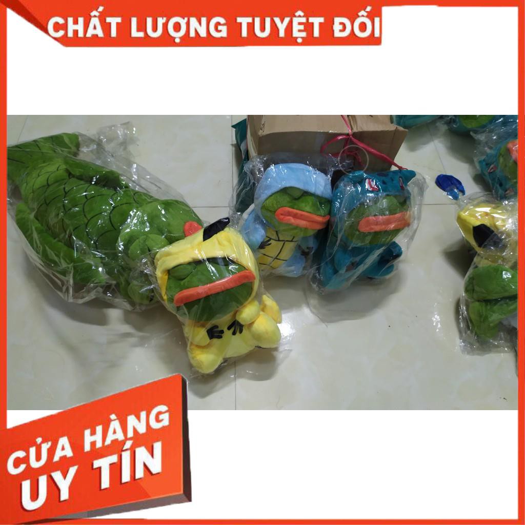 Ếch xanh pepe Pokemon- Pepe Squirtle  Pokemon