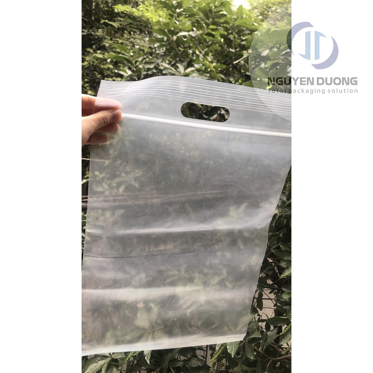 1kg Túi zip trong đột lỗ hột xoài