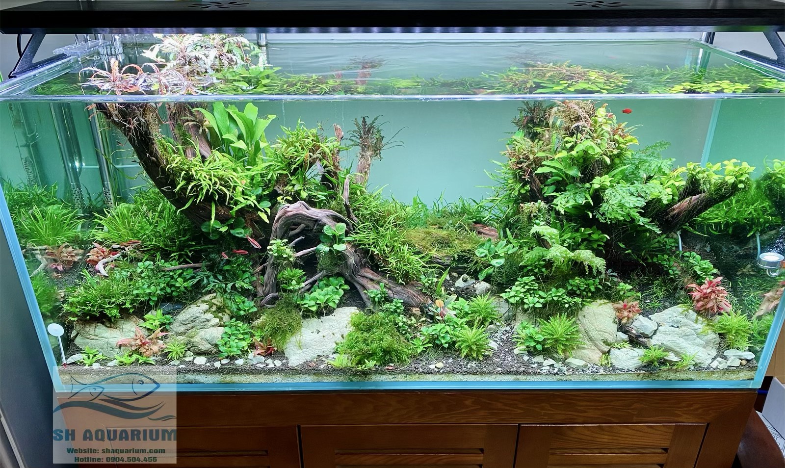 Đèn week p600 pro