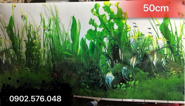 [HCM]Tranh hồ cá cao 50cm 1m