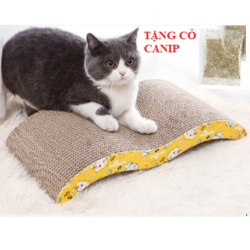 Bàn cào móng cho mèo xả stress cao cấp