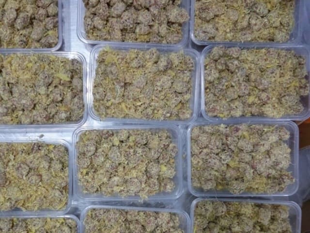 [ Sẵn hàng ] Combo 500g ô mai mơ gừng chua mặn ngọt