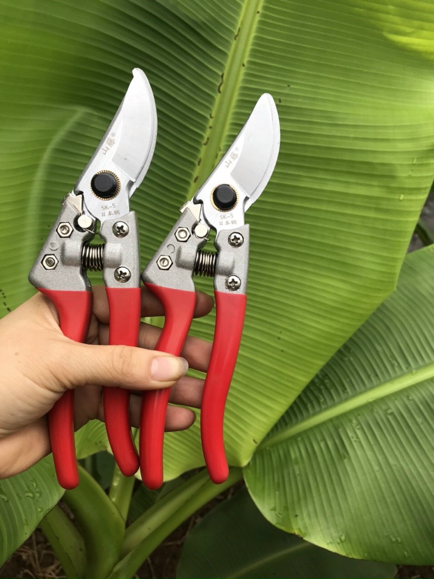 Combo bộ dụng cụ chăm sóc cây cảnh, bonsai