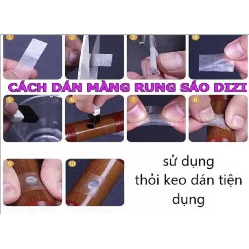 Keo dán màng rung sáo dizi