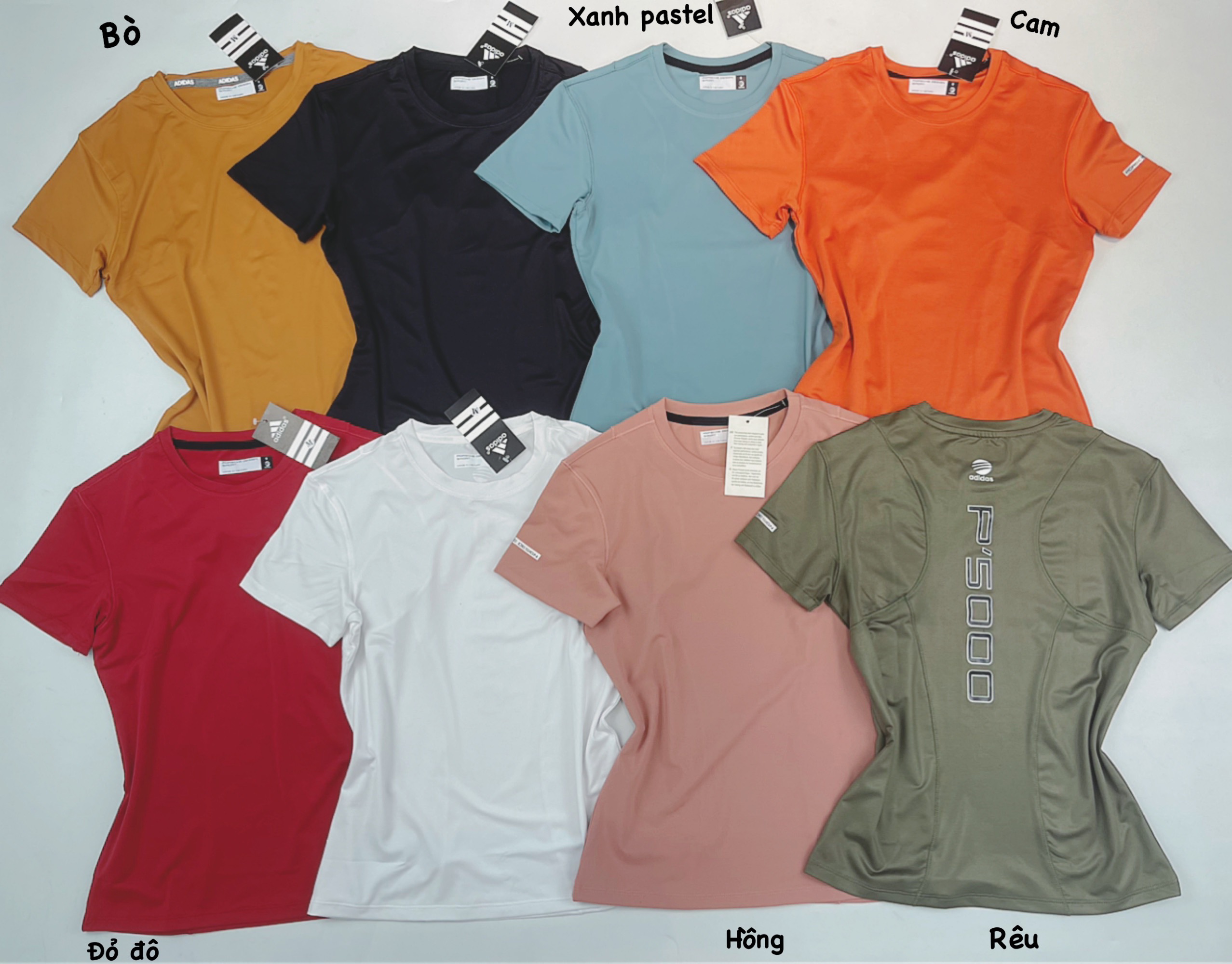 Áo Phông Tập Gym Cổ Tròn Trơn P5000 Basic Thoáng Mát Dễ Mặc