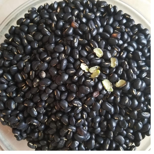 500g ĐẬU ĐEN XANH LÒNG-GIẢM CÂN THẦN TỐC