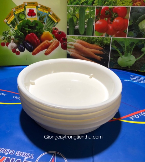 5 ĐĨA LÓT CHẬU CÂY CẢNH PHI 20