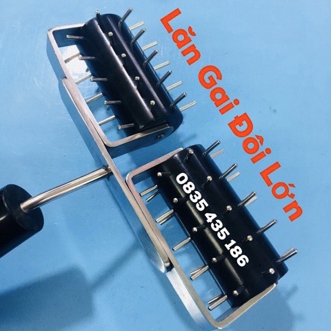 [HCM]Lăn Gai Đôi Lớn Diện Chẩn