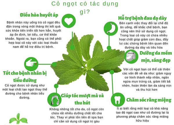 Trà cỏ ngọt sấy khô tự nhiên 200g
