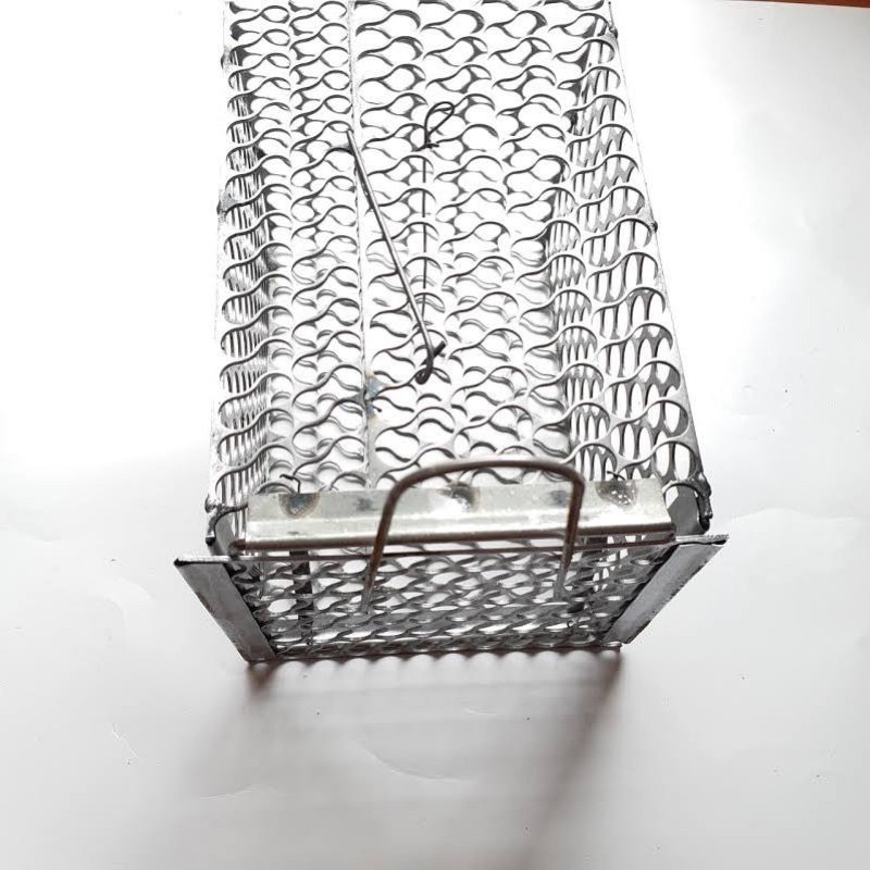 Lồng Bẫy Chuột