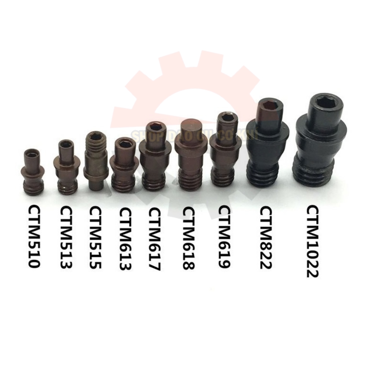 Ốc giữ chíp 2 mặt trên cán dao tiện CNC (5 con ốc)