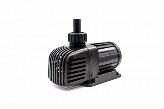 [HOÀN TIỀN 10%]MÁY BƠM JEBAO TM 6500
