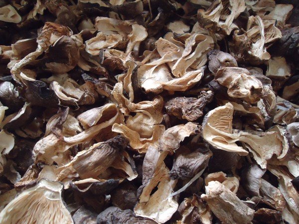 200g nấm rơm khô ngon rẻ