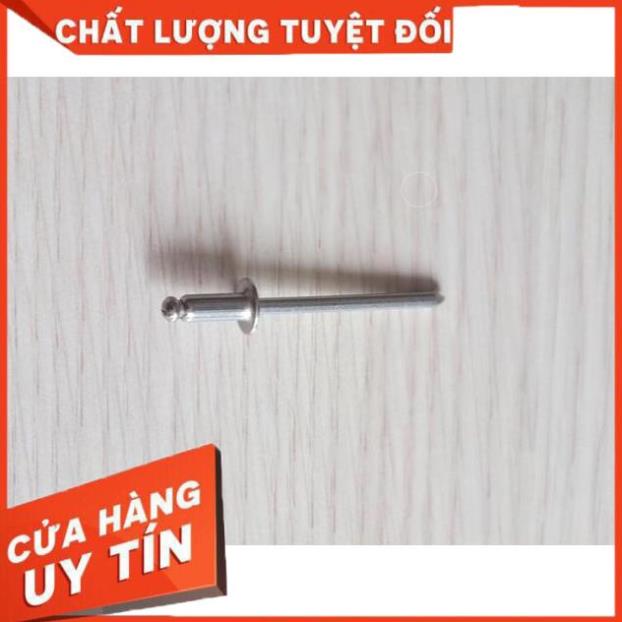 Rive (đinh rút) 100g ( Shop Uy Tín )