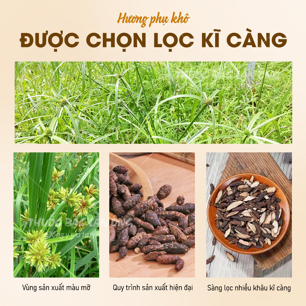 1kg Hương Phụ