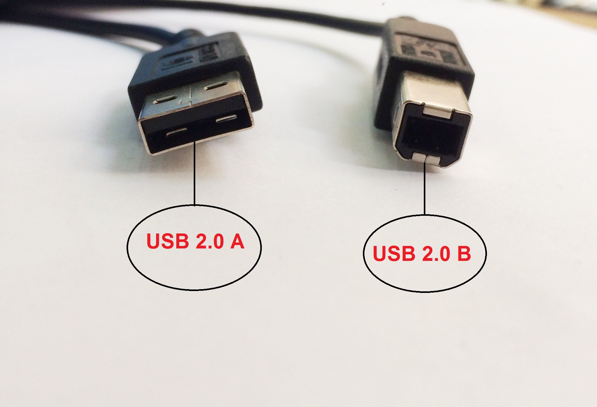 Dây Cáp máy in HP 8121-0868 USB 2.0 A To B 1m83