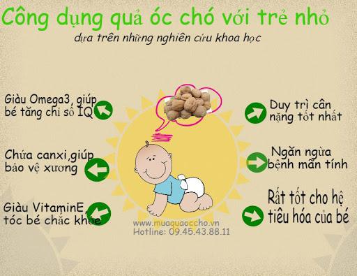 NHÂN HẠT ÓC CHÓ VÀNG MOURAD TÚI 500G